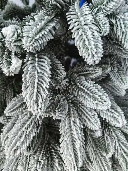 Изображение товара Ель искусственная National Tree Company Эверест стройная заснеженная / ЭВ/ЗСН-230 (230см)