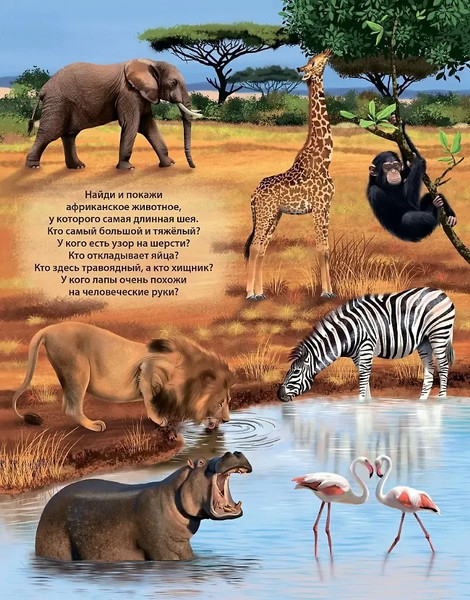 Изображение товара Музыкальная книга Робинс Животные. 50 звуков / 9785436607979