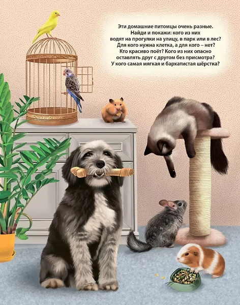 Изображение товара Музыкальная книга Робинс Животные. 50 звуков / 9785436607979