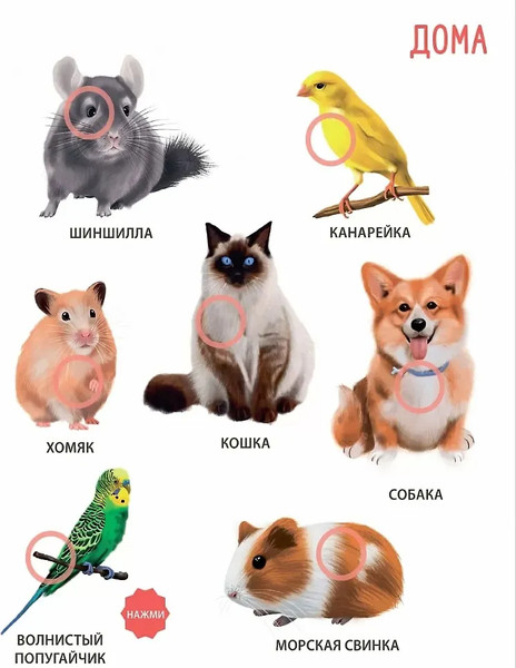 Изображение товара Музыкальная книга Робинс Животные. 50 звуков / 9785436607979