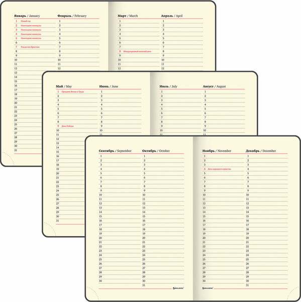 Изображение товара Ежедневник Brauberg Iguana / 114467 (160л, синий)