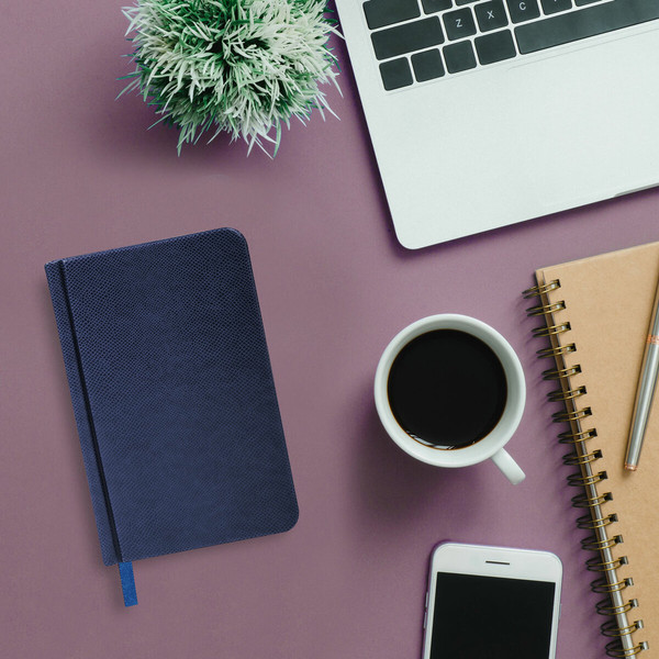 Изображение товара Ежедневник Brauberg Iguana / 114467 (160л, синий)