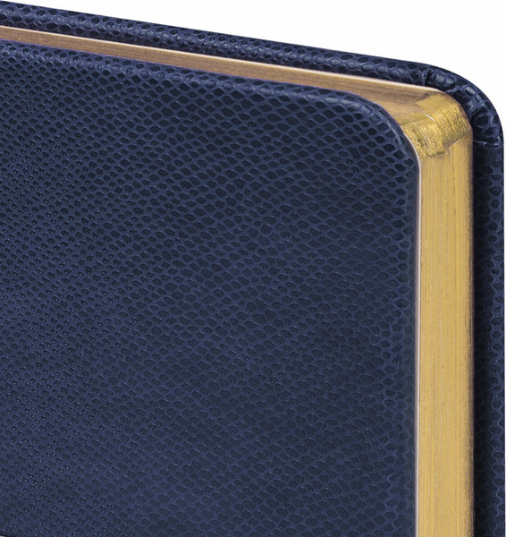 Изображение товара Ежедневник Brauberg Iguana / 114467 (160л, синий)