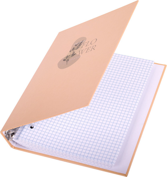 Изображение товара Тетрадь Brauberg 404710 (120л, клетка)