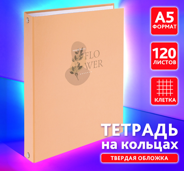 Изображение товара Тетрадь Brauberg 404710 (120л, клетка)