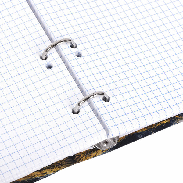 Изображение товара Тетрадь Brauberg 404719 (120л, клетка)