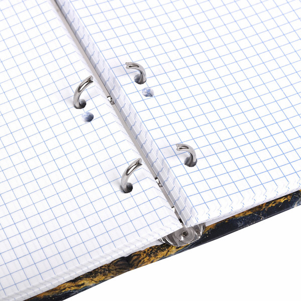 Изображение товара Тетрадь Brauberg 404719 (120л, клетка)