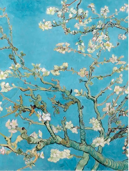 Изображение товара Постер Citydecor Цветущие ветки миндаля. Винсент ван Гог (30x40)