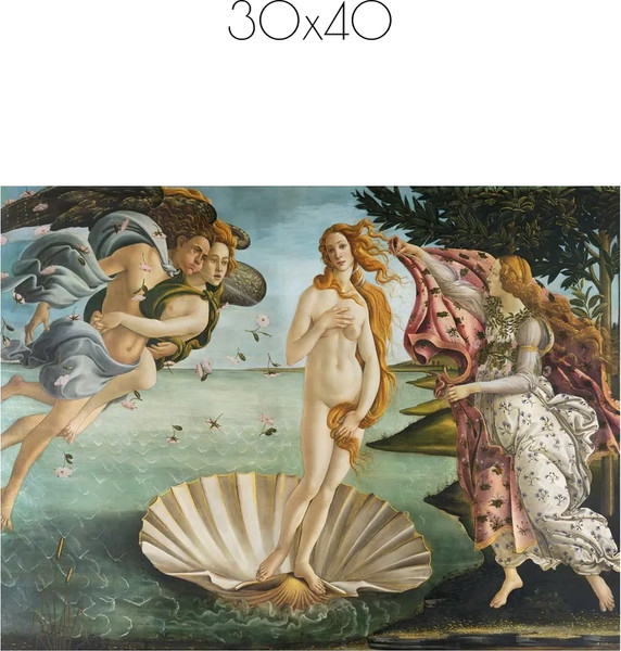 Изображение товара Постер Citydecor Рождение Венеры. Сандро Боттичелли (30x40)