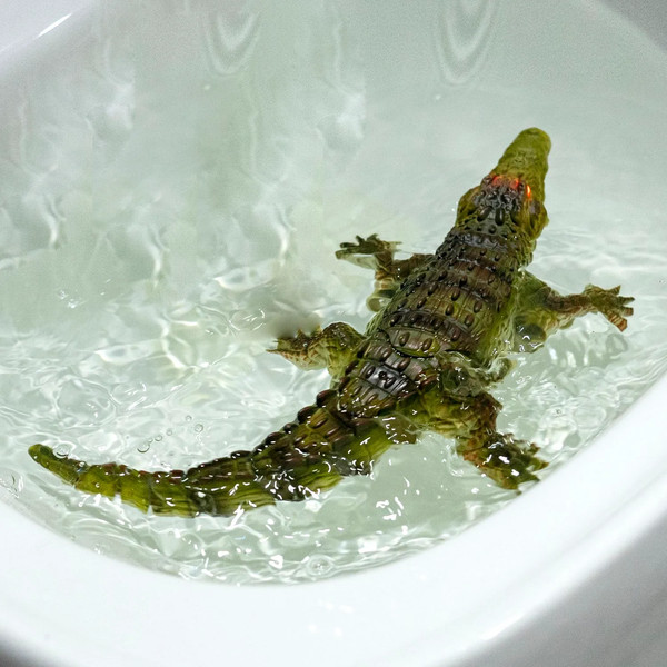 Изображение товара Радиоуправляемая игрушка Bondibon Крокодил / ВВ6500