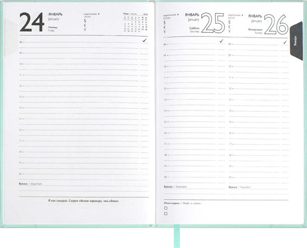 Изображение товара Ежедневник Escalada Илон Маск. Плонже-эконом 2025 / 66969 (176л, мятный)