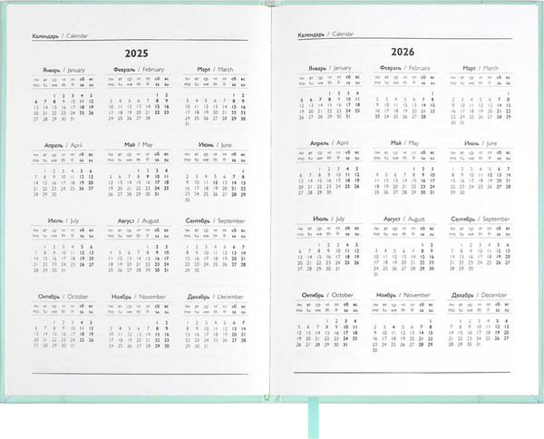 Изображение товара Ежедневник Escalada Илон Маск. Плонже-эконом 2025 / 66969 (176л, мятный)