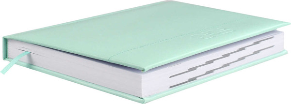 Изображение товара Ежедневник Escalada Илон Маск. Плонже-эконом 2025 / 66969 (176л, мятный)