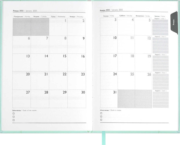Изображение товара Ежедневник Escalada Илон Маск. Плонже-эконом 2025 / 66969 (176л, мятный)