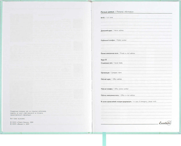 Изображение товара Ежедневник Escalada Илон Маск. Плонже-эконом 2025 / 66969 (176л, мятный)