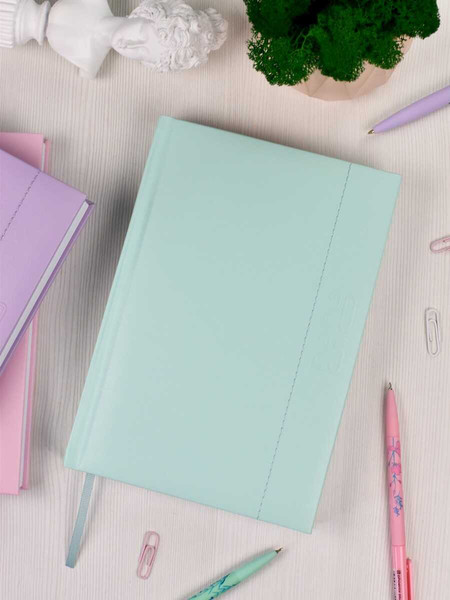 Изображение товара Ежедневник Escalada Илон Маск. Плонже-эконом 2025 / 66969 (176л, мятный)