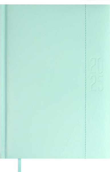 Изображение товара Ежедневник Escalada Илон Маск. Плонже-эконом 2025 / 66969 (176л, мятный)