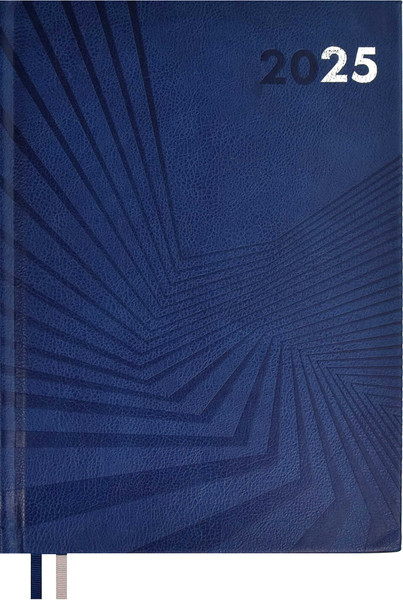 Изображение товара Ежедневник Escalada Илон Маск. Амальфи 2025 / 66941 (176л, синий)