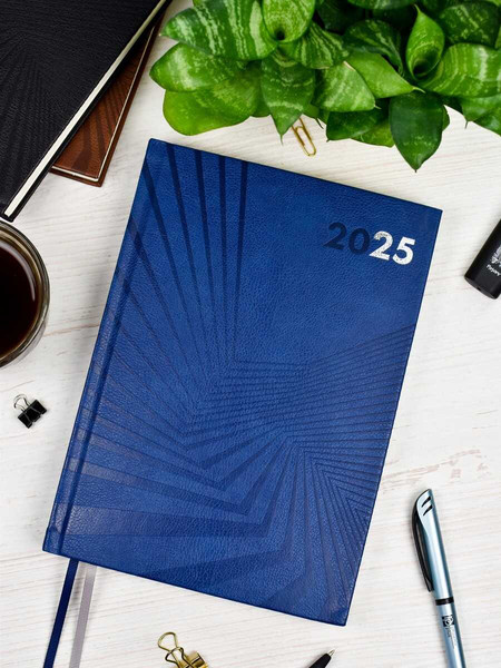 Изображение товара Ежедневник Escalada Илон Маск. Амальфи 2025 / 66941 (176л, синий)