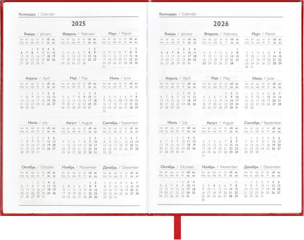 Изображение товара Ежедневник Escalada Илон Маск. Сариф-эконом 2025 / 67033 (176л, красный)