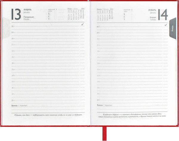 Изображение товара Ежедневник Escalada Илон Маск. Сариф-эконом 2025 / 67033 (176л, красный)