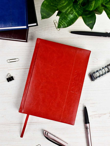 Изображение товара Ежедневник Escalada Илон Маск. Сариф-эконом 2025 / 67033 (176л, красный)