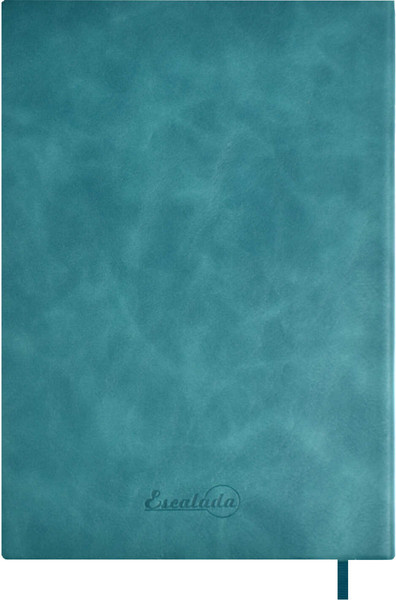 Изображение товара Ежедневник Escalada Илон Маск. Вачетто / 67255 (160л, бирюзовый)