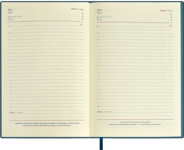 Изображение товара Ежедневник Escalada Илон Маск. Вачетто / 67255 (160л, бирюзовый)