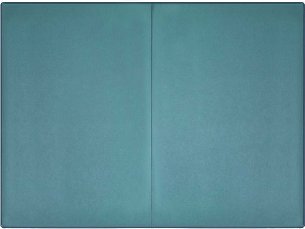 Изображение товара Ежедневник Escalada Илон Маск. Вачетто / 67255 (160л, бирюзовый)