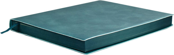 Изображение товара Ежедневник Escalada Илон Маск. Вачетто / 67255 (160л, бирюзовый)