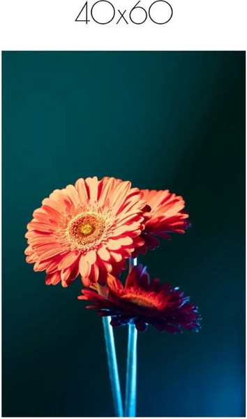 Изображение товара Постер Citydecor Цветы 1 (40x60)