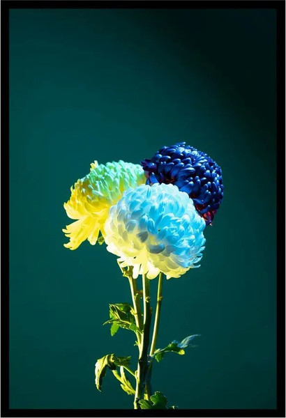 Изображение товара Постер Citydecor Цветы 11 (40x60)