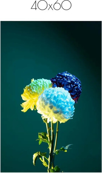 Изображение товара Постер Citydecor Цветы 11 (40x60)