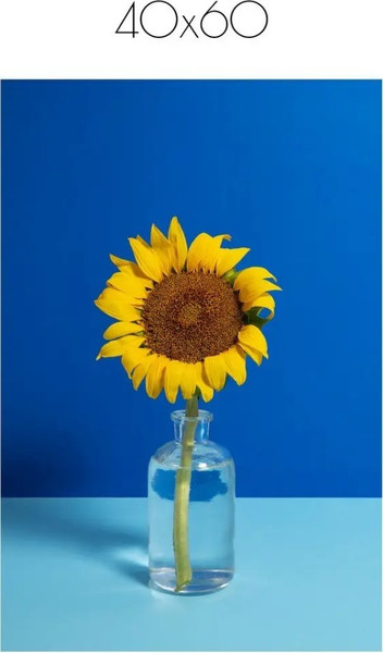 Изображение товара Постер Citydecor Цветы 12 (40x60)