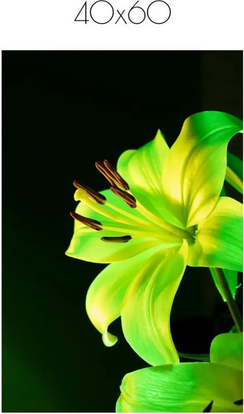 Изображение товара Постер Citydecor Цветы 13 (40x60)