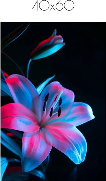 Изображение товара Постер Citydecor Цветы 3 (40x60)