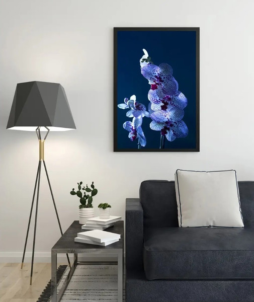 Изображение товара Постер Citydecor Цветы 5 (40x60)