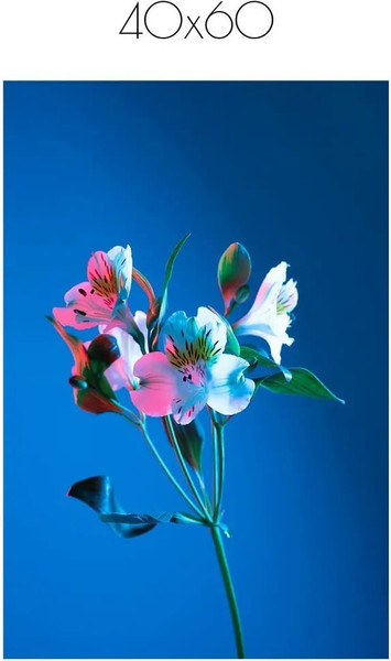 Изображение товара Постер Citydecor Цветы 8 (40x60)