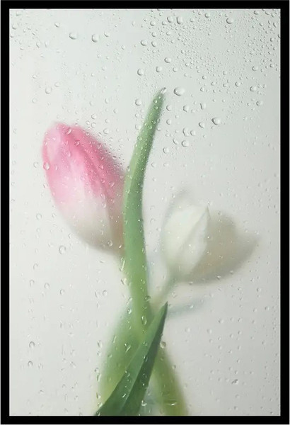 Изображение товара Постер Citydecor Цветы 9 (40x60)