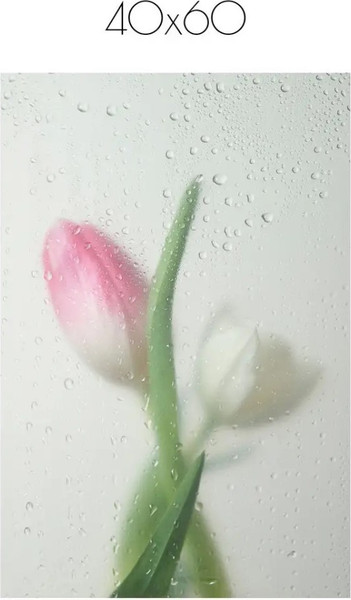 Изображение товара Постер Citydecor Цветы 9 (40x60)