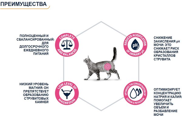 Изображение товара Влажный корм для кошек Advance Diets Urinary (85г)