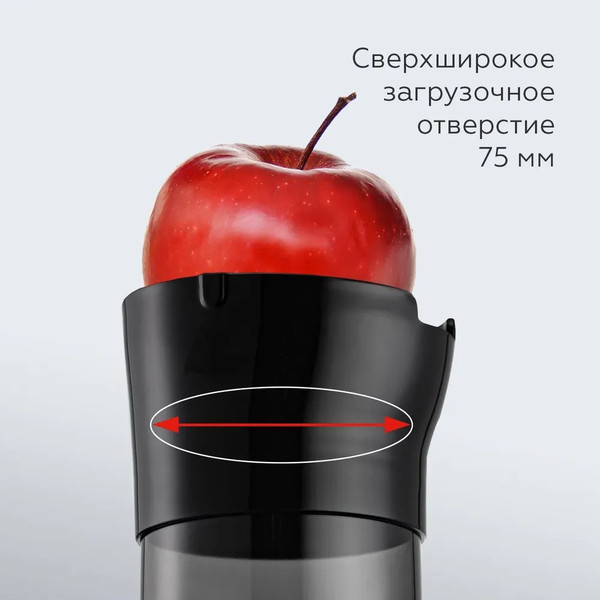 Изображение товара Соковыжималка электрическая BQ J2000 (серый/черный)