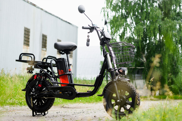 Изображение товара Электровелосипед AVM E-Alfa Fat (черный)