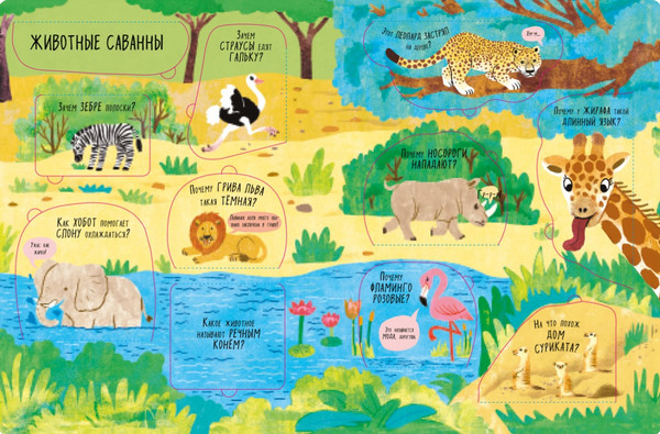 Изображение товара Развивающая книга CLEVER Книжка с окошками. Животные твердая обложка (Мосс Рейчел)