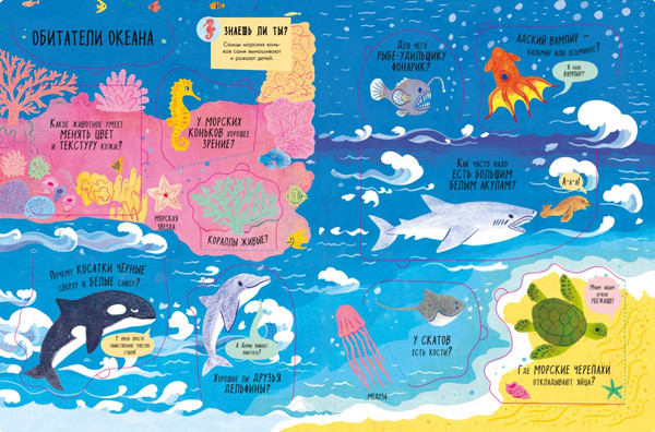 Изображение товара Развивающая книга CLEVER Книжка с окошками. Животные твердая обложка (Мосс Рейчел)