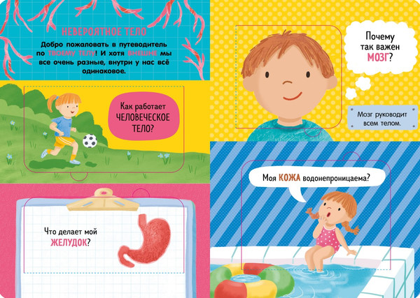 Изображение товара Энциклопедия CLEVER Книжка с окошками. Как устроено тело человека твердая обложка (Мосс Рейчел)