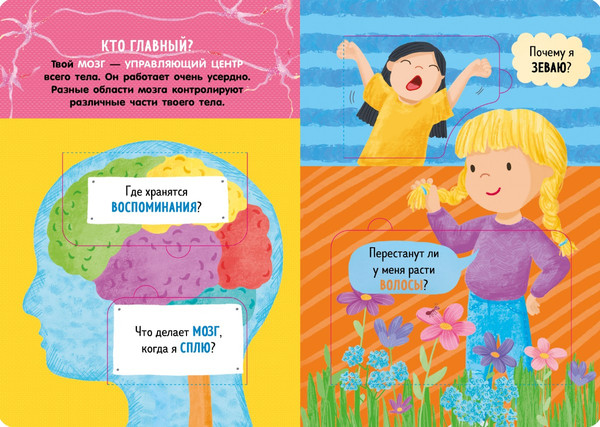 Изображение товара Энциклопедия CLEVER Книжка с окошками. Как устроено тело человека твердая обложка (Мосс Рейчел)