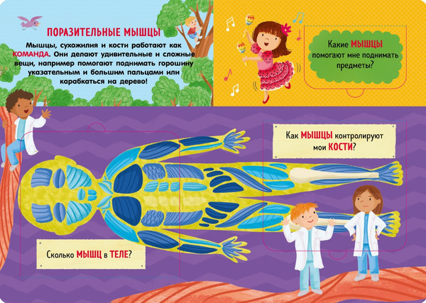 Изображение товара Энциклопедия CLEVER Книжка с окошками. Как устроено тело человека твердая обложка (Мосс Рейчел)