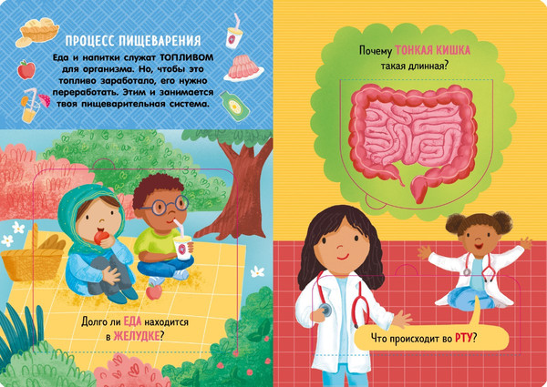 Изображение товара Энциклопедия CLEVER Книжка с окошками. Как устроено тело человека твердая обложка (Мосс Рейчел)