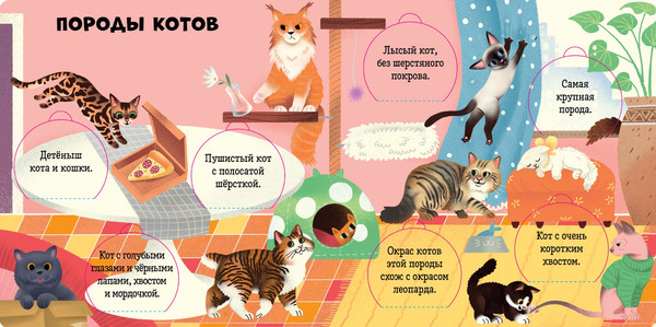 Изображение товара Развивающая книга CLEVER Книжка с окошками. Любимые животные твердая обложка